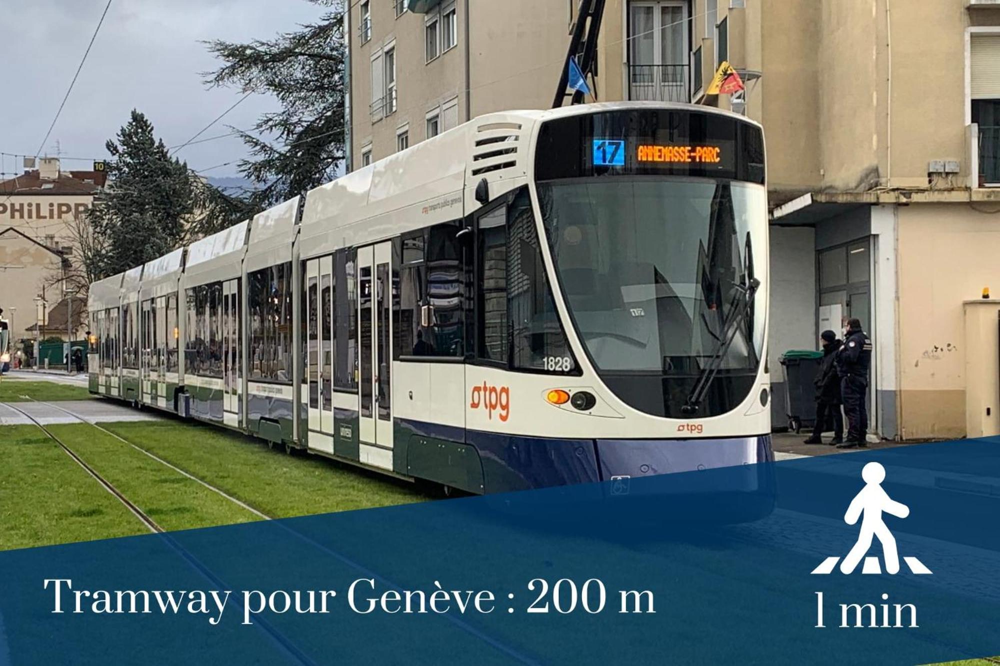 Homey Wild - Proche Gare Et Tram - Proche Centre - Balcon Prive - Parking Prive - Wifi Gratuit Аннемас Экстерьер фото