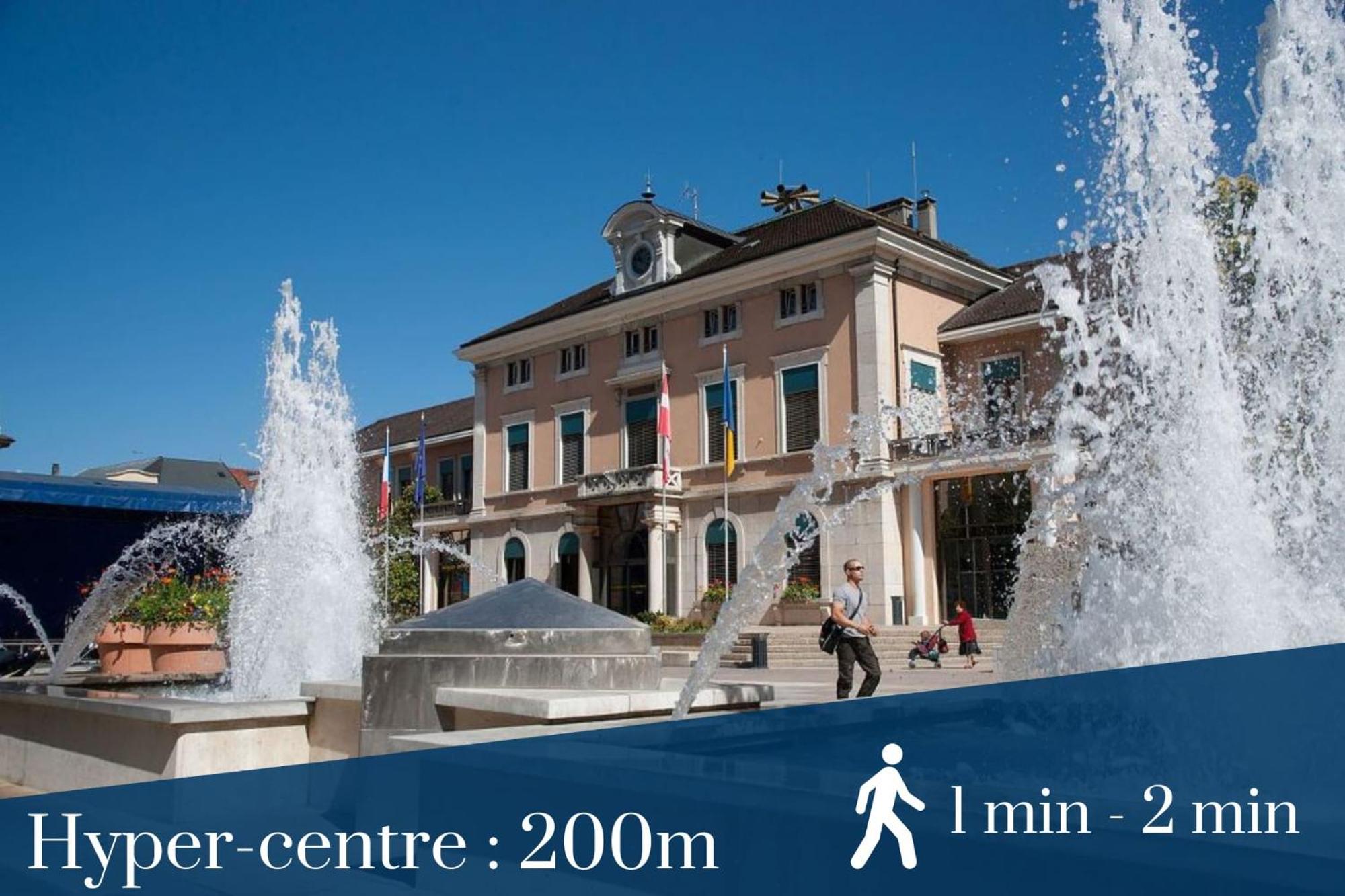 Homey Wild - Proche Gare Et Tram - Proche Centre - Balcon Prive - Parking Prive - Wifi Gratuit Аннемас Экстерьер фото